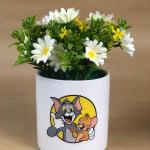 بوت  توم اند جيري نبات صناعي