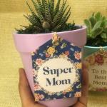 صبار في بوت ملون