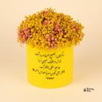 بوت بيبي فلاور