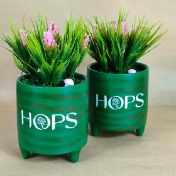 بوت نبات صناعي