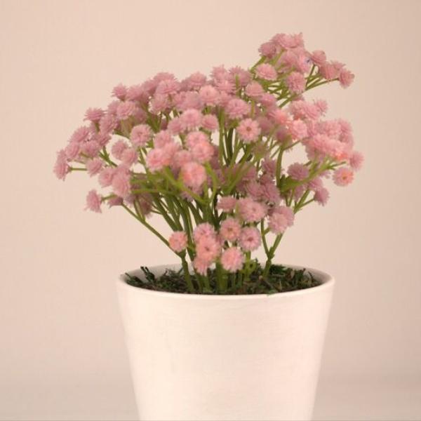 بوت نبات صناعى