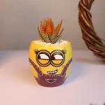 صبار في بوت منيونز