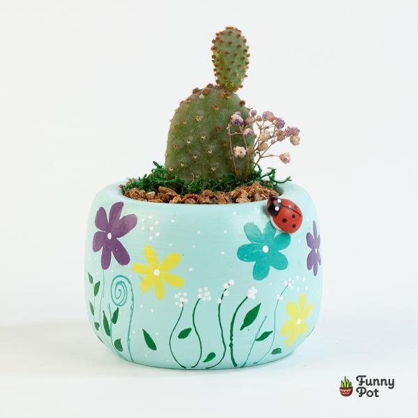 صبار في بوت ملون