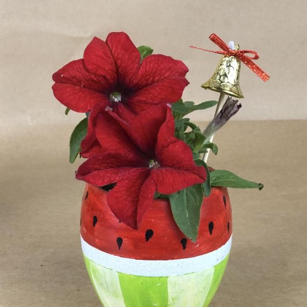 بوت باتونيا طبيعي