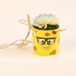 بوت سبونش بوب نبات صناعي