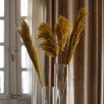 بامبوس مجفف