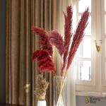 بامبوس مجفف