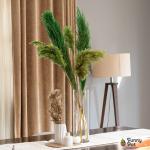 بامبوس مجفف