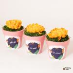 بوتس فخار هاند ميد