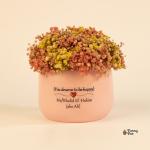 بوت بيبي فلاور