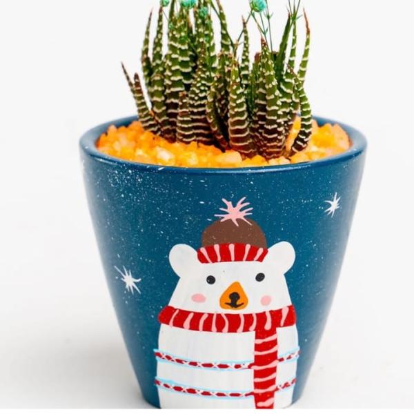 صبار في بوت طبيعي