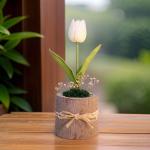 بوت جزع شجر طبيعي