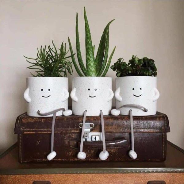 بوت بالصبار الطبيعي