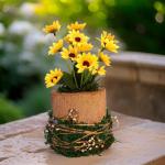 بوت جزع شجر طبيعي