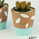 صبار في بوت ملون