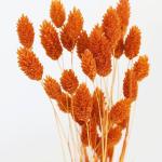 فلارس مجففه