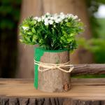 بوت جزع شجر طبيعي