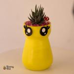 بوت هاند ميد بالصبار الطبيعي