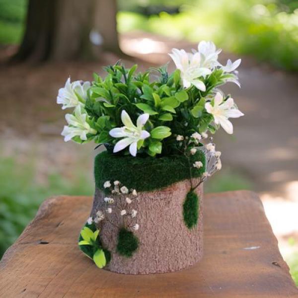 بوت جزع شجر طبيعي