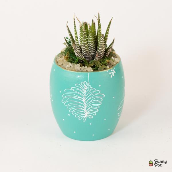 صبار في بوت ملون