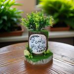 بوت جزع شجر طبيعي