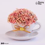 بوت بيبي فلاور