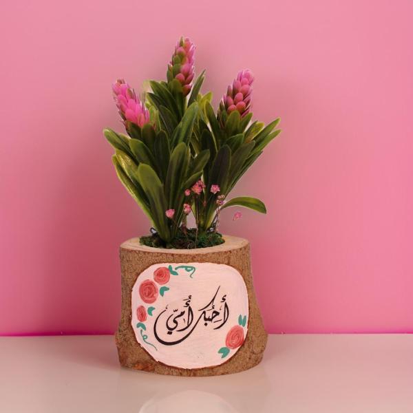 بوت جزع شجر طبيعي