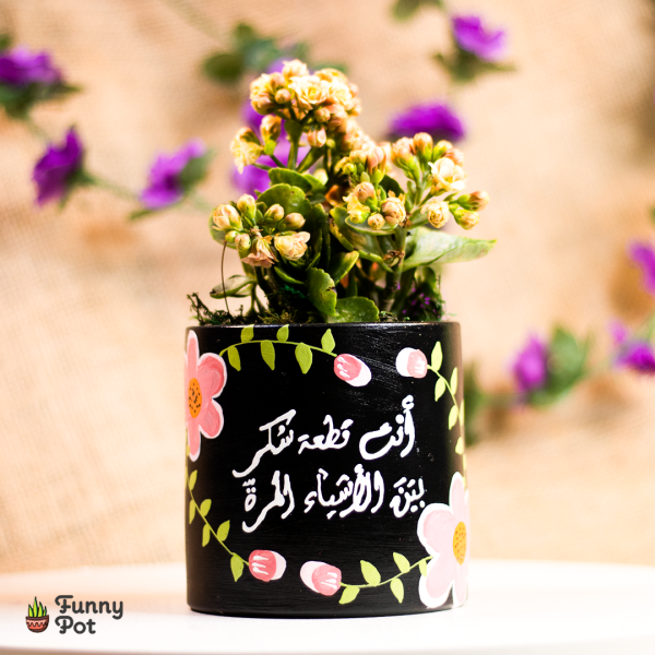 بوت بنبات الكلانشو