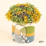 بوت بيبي فلاور