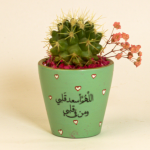 صبار في بوت ملون