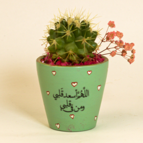 صبار في بوت ملون