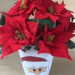 بوت زهور بنت القنصل