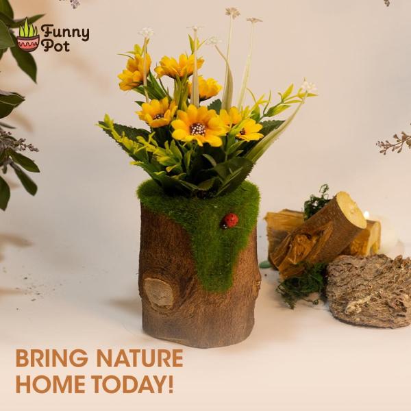 بوت جزع شجر طبيعي