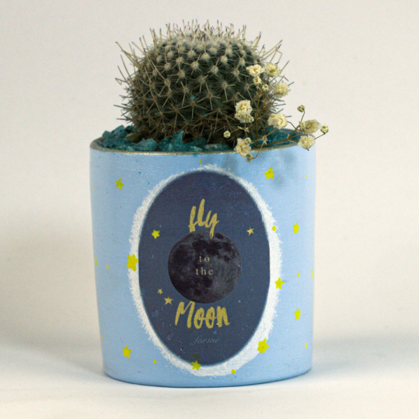 صبار في بوت ملون