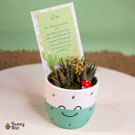 بوت فخار كيوت صبار طبيعي