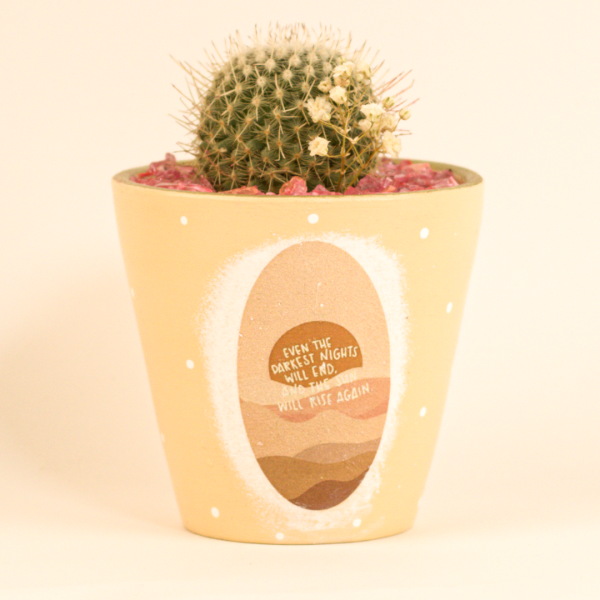 صبار في بوت ملون