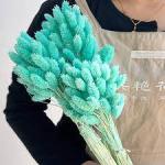 فلارس مجففه