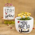 كريزي فلاور