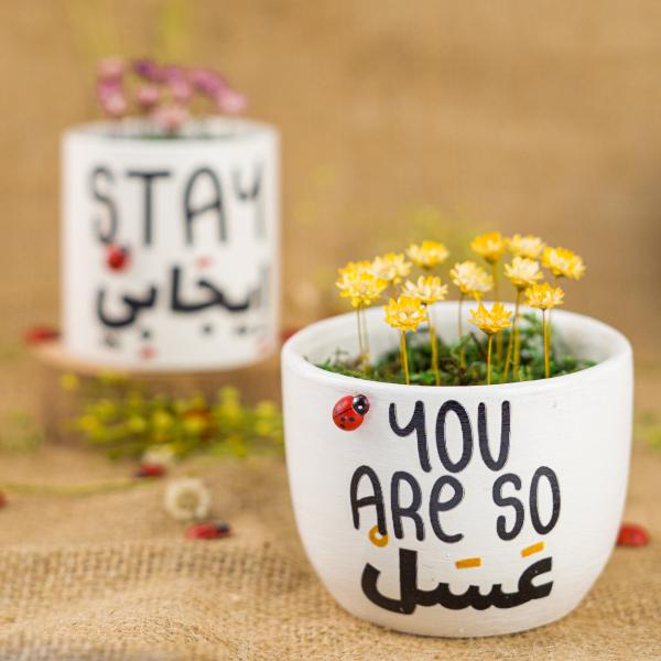 كريزي فلاور