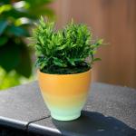 بوت نبات صناعي