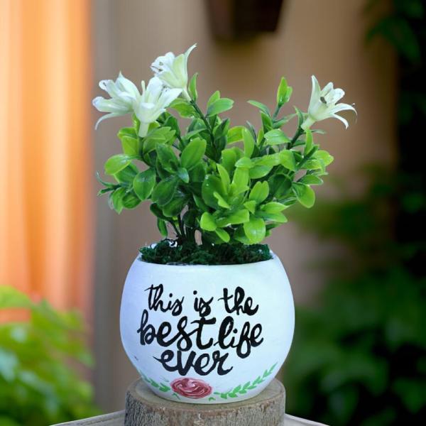 بوت نبات صناعي