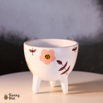 بوت فخار فارغ