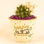 صبار في بوت ملون