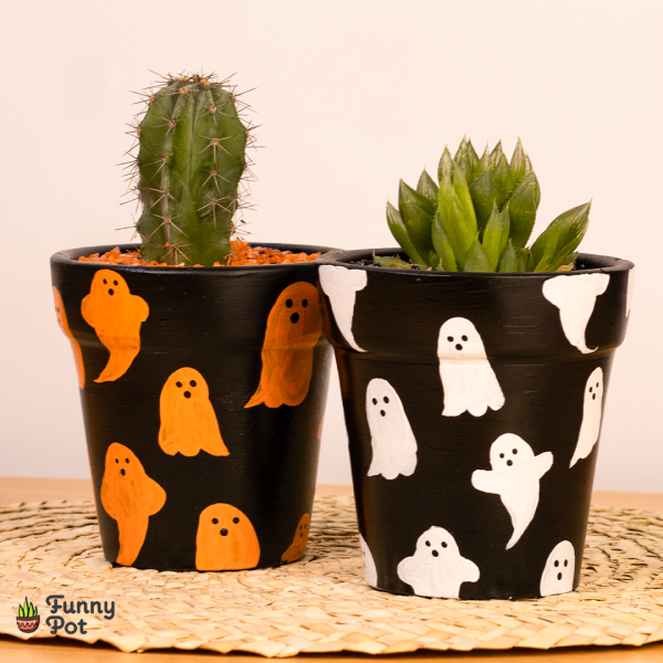 بوت بالصبار الطبيعي