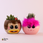 بوت بالصبار الطبيعي