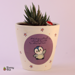 بوت هاند ميد بالصبار الطبيعي