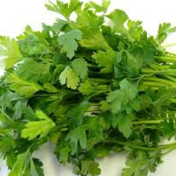 بذور بقدونس