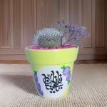 صبار في بوت ملون