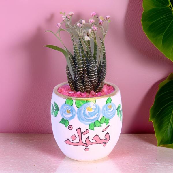 صبار في بوت ملون