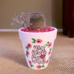 صبار في بوت ملون